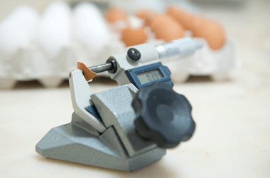 laboratório ovos