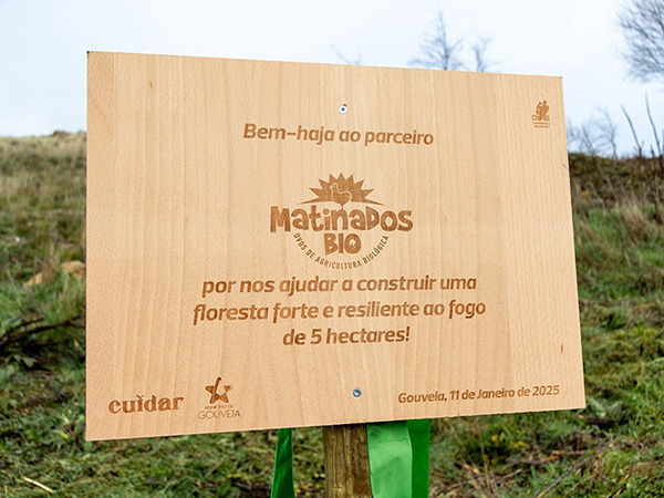 projeto serra cuidar